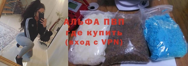 сатива Болохово