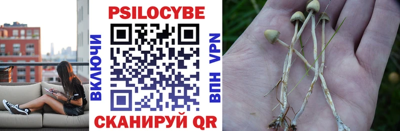 Псилоцибиновые грибы Psilocybe  Коркино 
