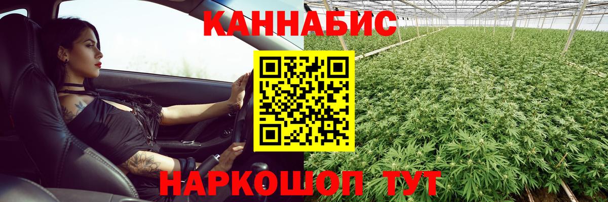 Конопля сатива  Марихуана сатива  Вход с VPN  Коркино 